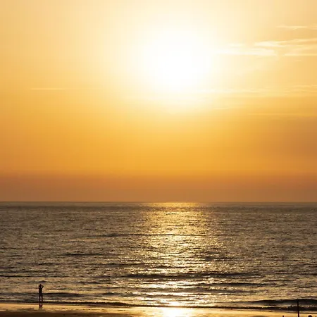 North Sea Bliss By Bloss * デ ハーン